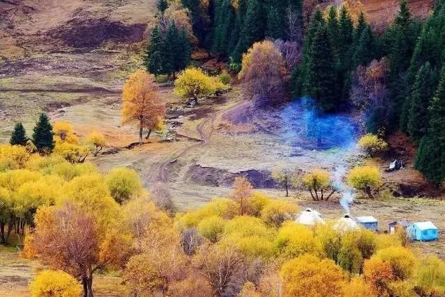 大九湖|国内美到窒息的旅行地，很多人都没去过!