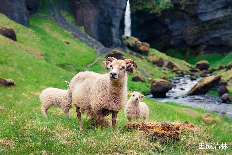 双喜临|生肖羊人,9月双喜临门,大富大贵,升官发财