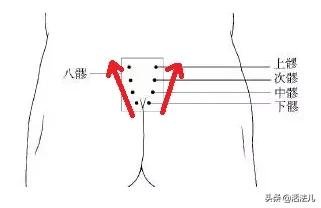 中髎|三伏天，全年最佳的补肾黄金期，无论男女，记得做好这1件事