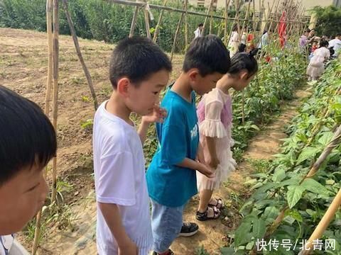 孩子们|阜阳市太和县第三中学东校区“科学实验田”让孩子们快乐成长