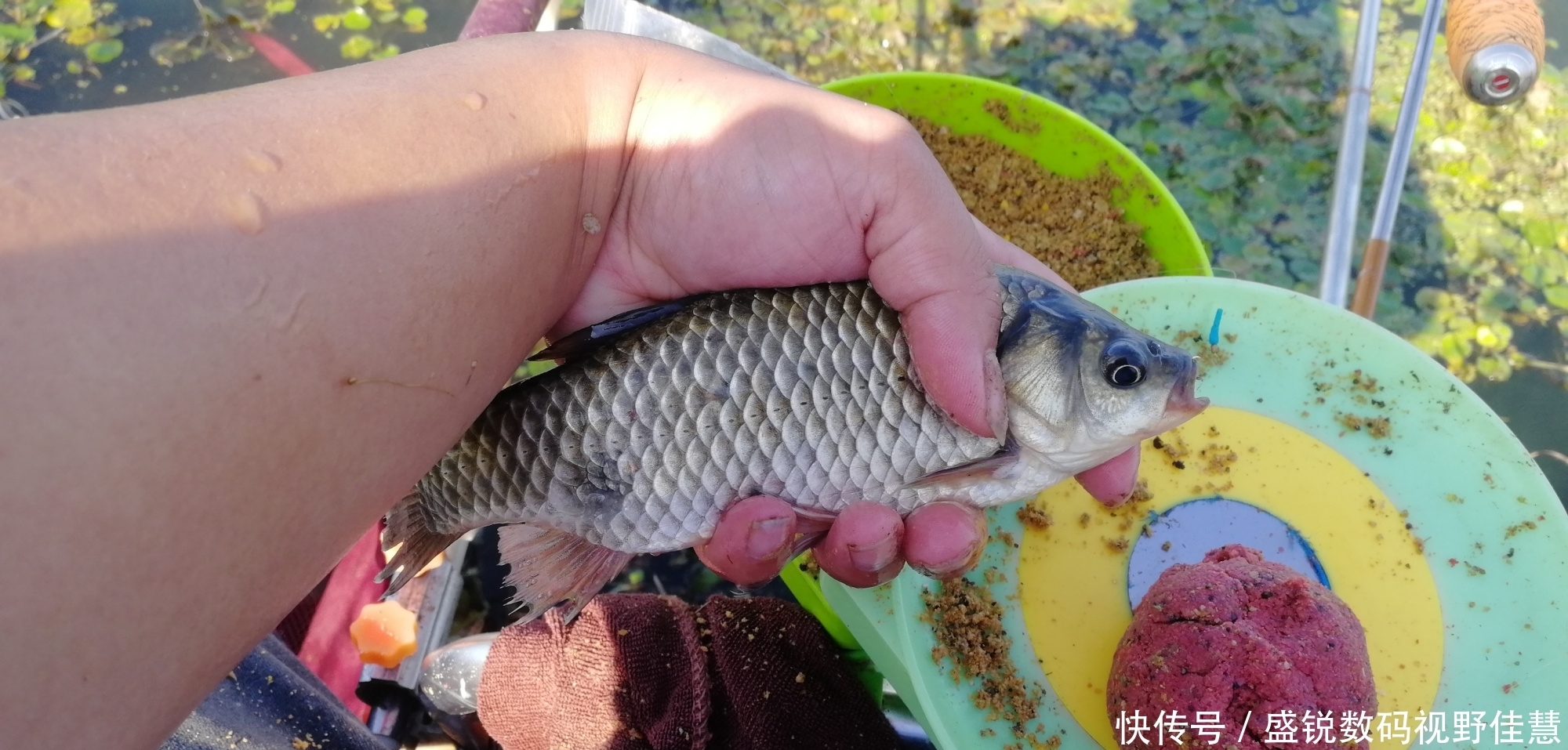 新手钓鱼一定要养成的好习惯，对你的渔获大有帮助！