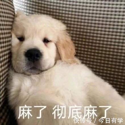 插画师|没有美术基础,成为插画师需要多长时间?