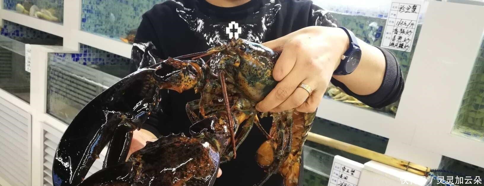 孩子|“妈妈我想吃龙虾”2位妈妈的不同做法,10年后孩子差距立现