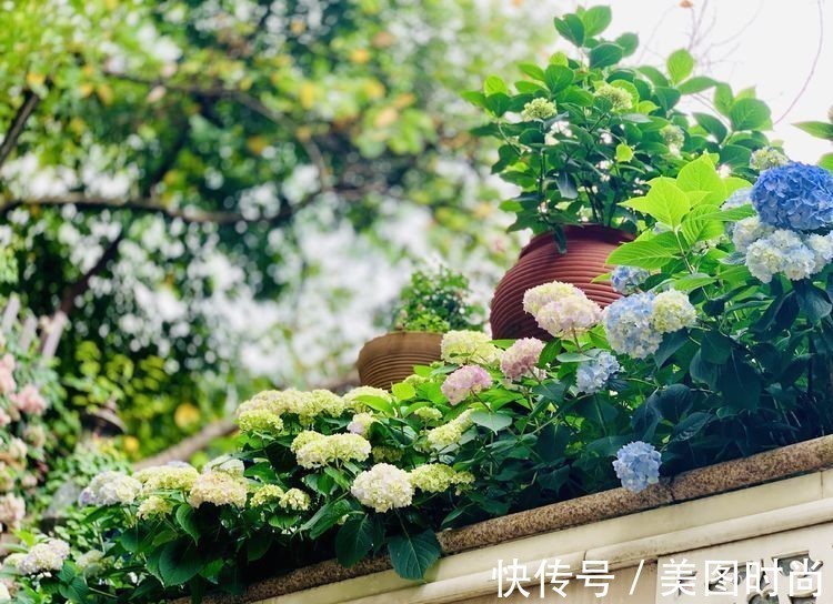 庭院改造:50㎡的下沉式庭院造花园,有地我也建一个,太好看了!