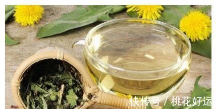 排毒|蒲公英是“排毒之王”,但这4类人,一点也不能碰!