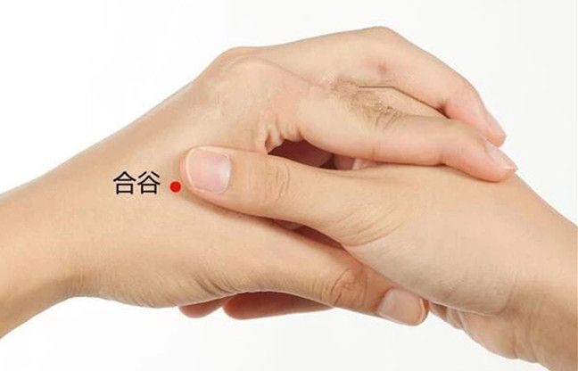 五脏六腑|长寿密码就在手上!五脏六腑历历在“手”,男左女右,秘密都在这