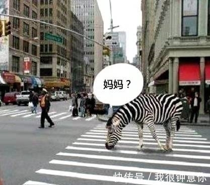 |搞笑图片幽默段子笑话:很有想法的老板,在办公室装马桶么?