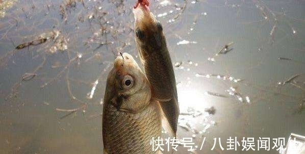 为主动|冬季钓鱼半天没一口?教你4招,鱼口越钓越多
