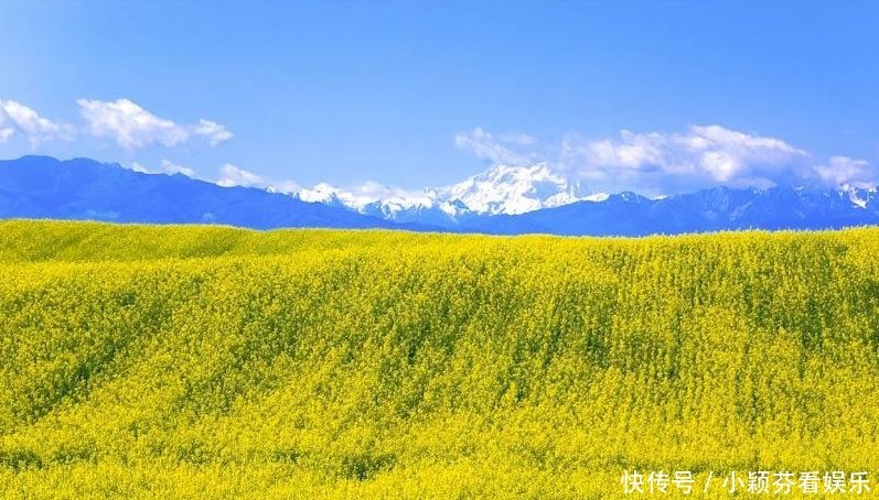 一首《可可托海的牧羊人》唱响春晚，让伊犁惊艳了全世界！