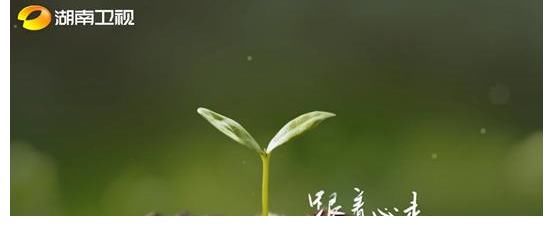 《快乐大本营》不告而别?新综艺《你好星期六》将于元旦开播