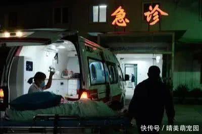 61岁老汉查出脑溢血,医生问其病因,保姆哭诉经过,儿女低头不语