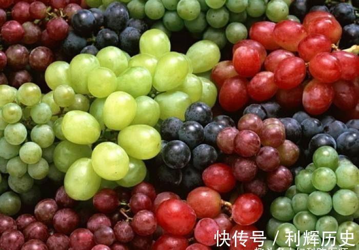 补充蛋白质|秋天养生,女性可以经常吃的食物,预防皱纹、延缓衰老