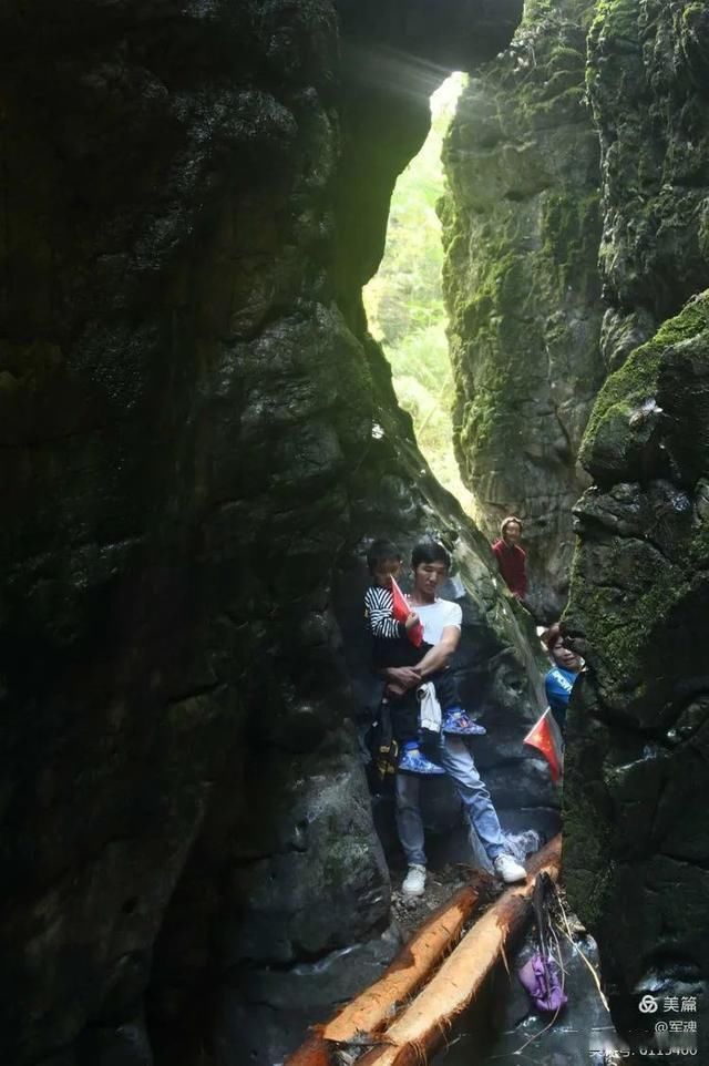 岩壁|探秘鬼斧神工的汉中“大屋基”地缝峡谷，秦巴深处的地质奇观