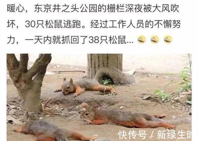 |搞笑图片大合集,哈哈哈哈哈哈哈哈!网友:黑色显瘦竟然是真的?