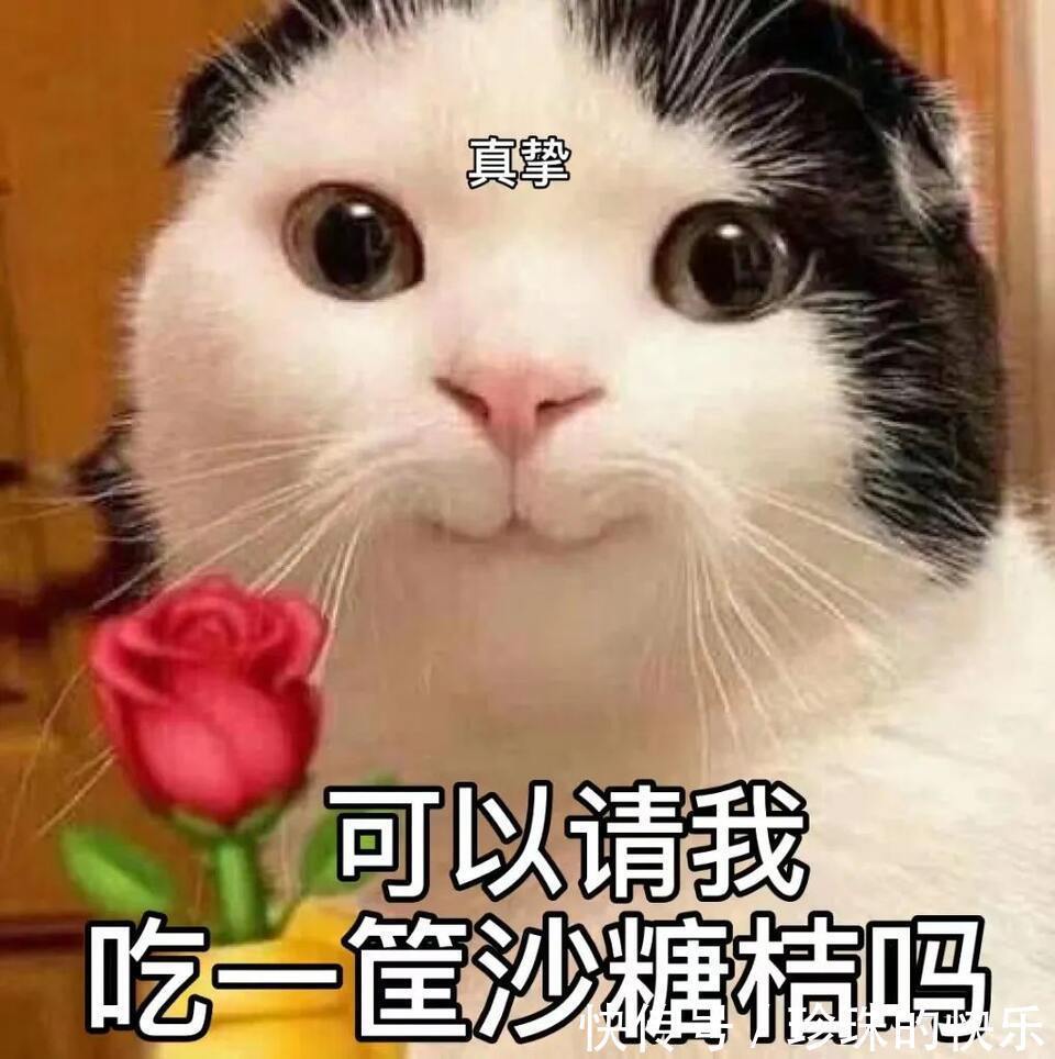 拜年|必存!新年拜年表情包丨第310期热门表情包