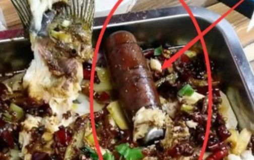 请吃|闺蜜请吃烤鱼,中途吃出一把“菜刀”,老板的解释让我们喜笑颜开