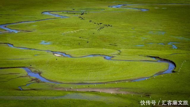 命名|甘南最美的绿色，中国唯一以黄河命名的地方