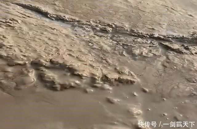 野生甲鱼难找不难钓,学会这两招,一找一个准