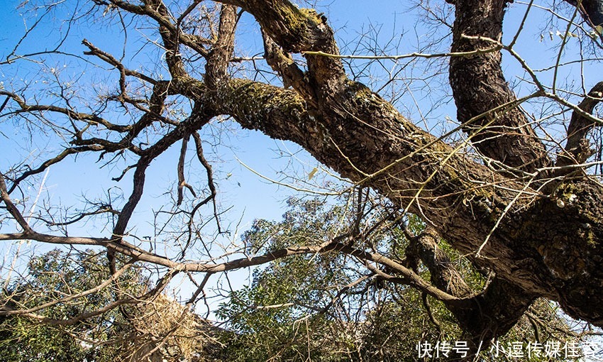 这所学校里藏一座守备衙门，始建于清乾隆七年，损坏严重令人惋惜