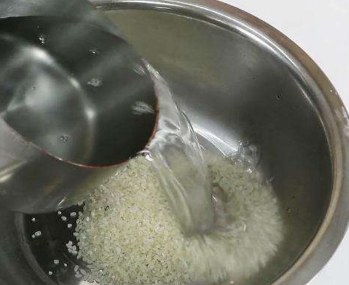 鲜艳|养花浇水有窍门,以下2种水浇花很“致命”,浇水越多,死的越快