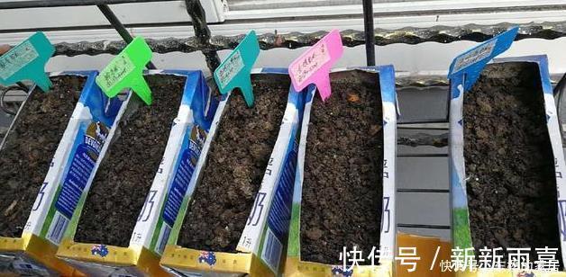 此些东西养花特别好，盆土一年不板结，花草长得旺、开的多又艳