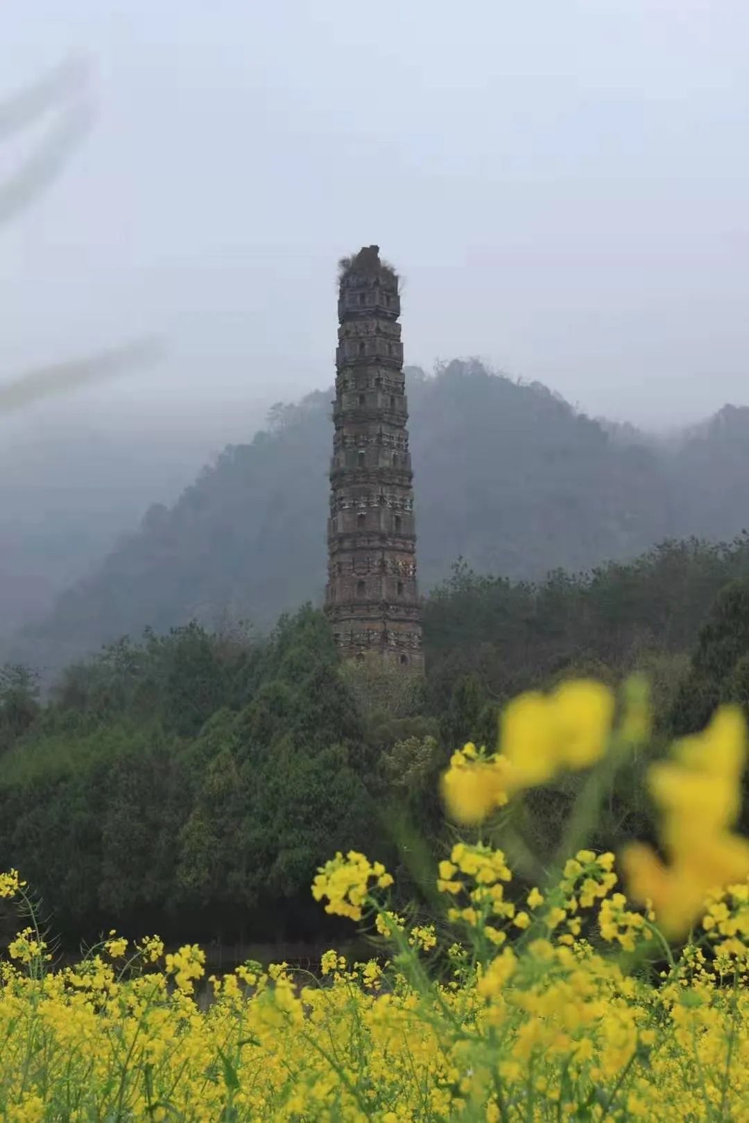 寺院|天台山国清寺恢复开放! 这里低调地美了1400多年, 佛到骨子里!