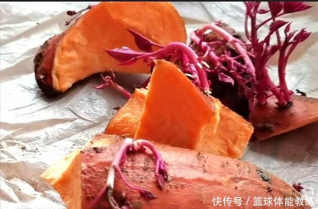 今天才知道,发芽红薯是个“宝”,知道的人不多,赶紧回家找出来!