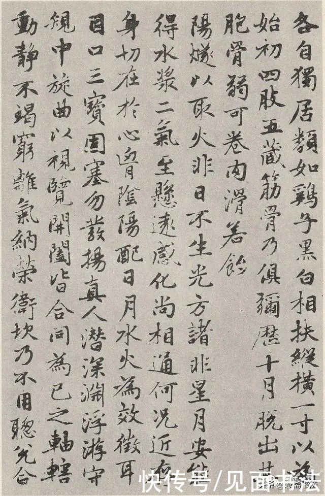 赵孟頫|「愙斋书法」赵孟頫《参同契》