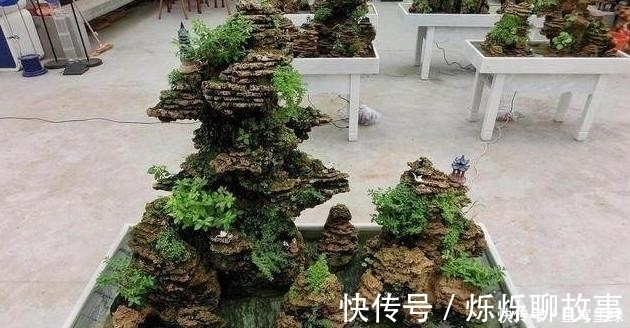 盆景教学山水盆景中最难的是点苔,教你如何快速上苔