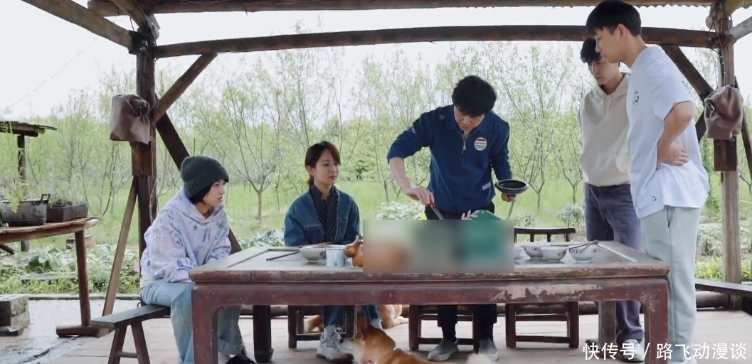 烤肠 杨紫离开蘑菇屋前,还要走全部烤肠,代价是让陈赫李诞买单的欠条