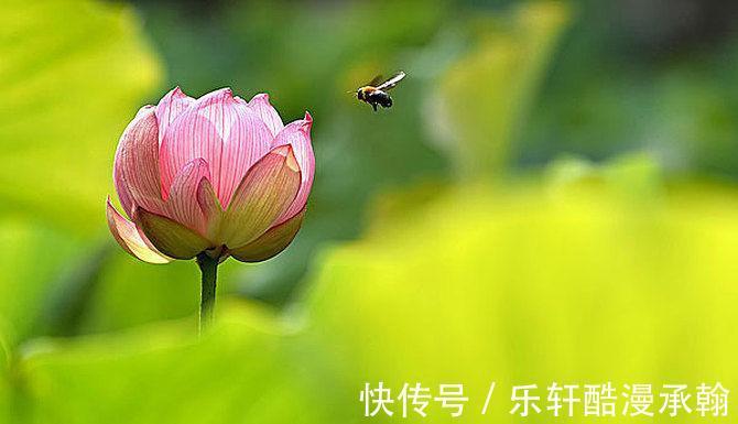 月尾|8月后半月，桃花爆红，财运飙涨，天天忙着数钱的生肖