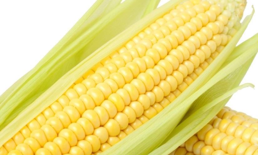 山药|血糖高能吃什么蔬菜?