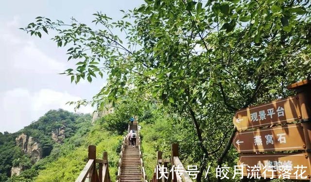 鸽子洞|北京大岭沟猕猴桃谷风景区，幽静空谷听鸟鸣，到山顶看草木葱茏！