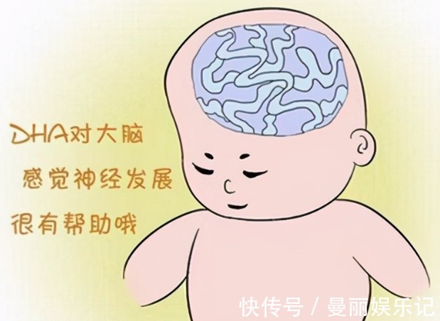 脑细胞|怀孕吃什么宝宝更聪明，什么阶段吃最好，根据宝宝大脑发育规律吃