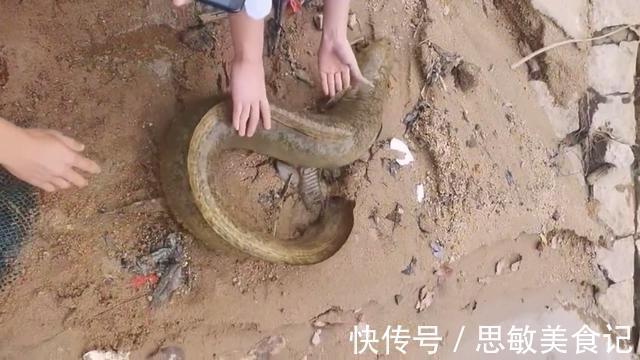十几斤大泥鳅?广州小伙珠江边钓鱼,碰到有人放生“大型水族”