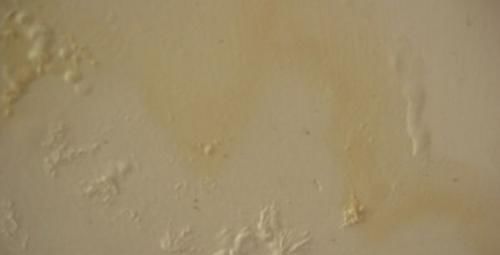 发霉|墙皮发霉脱落怎么办？装修师傅分享一妙招，让你轻松解决