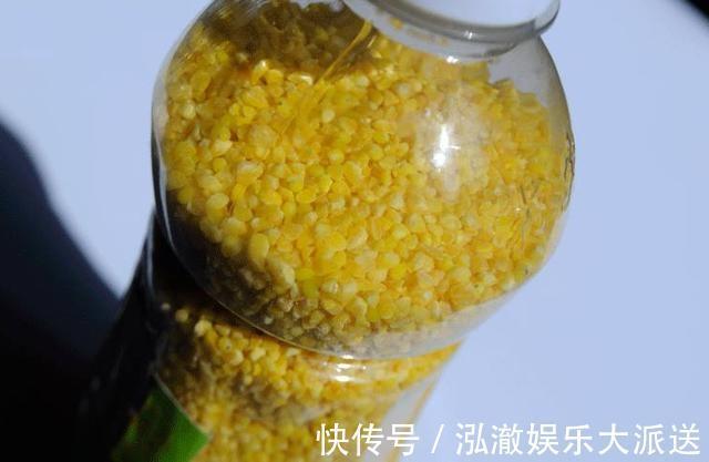 效果|钓鱼打窝料还靠买不妨自己在家做,取材方便效果绝佳!