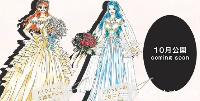和之国|海贼王众女主婚纱照,白星可爱,大和唯美,佩罗娜很“邪恶”