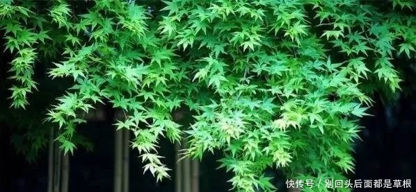 恩情难忘,怨恨易消!(经典好文)!