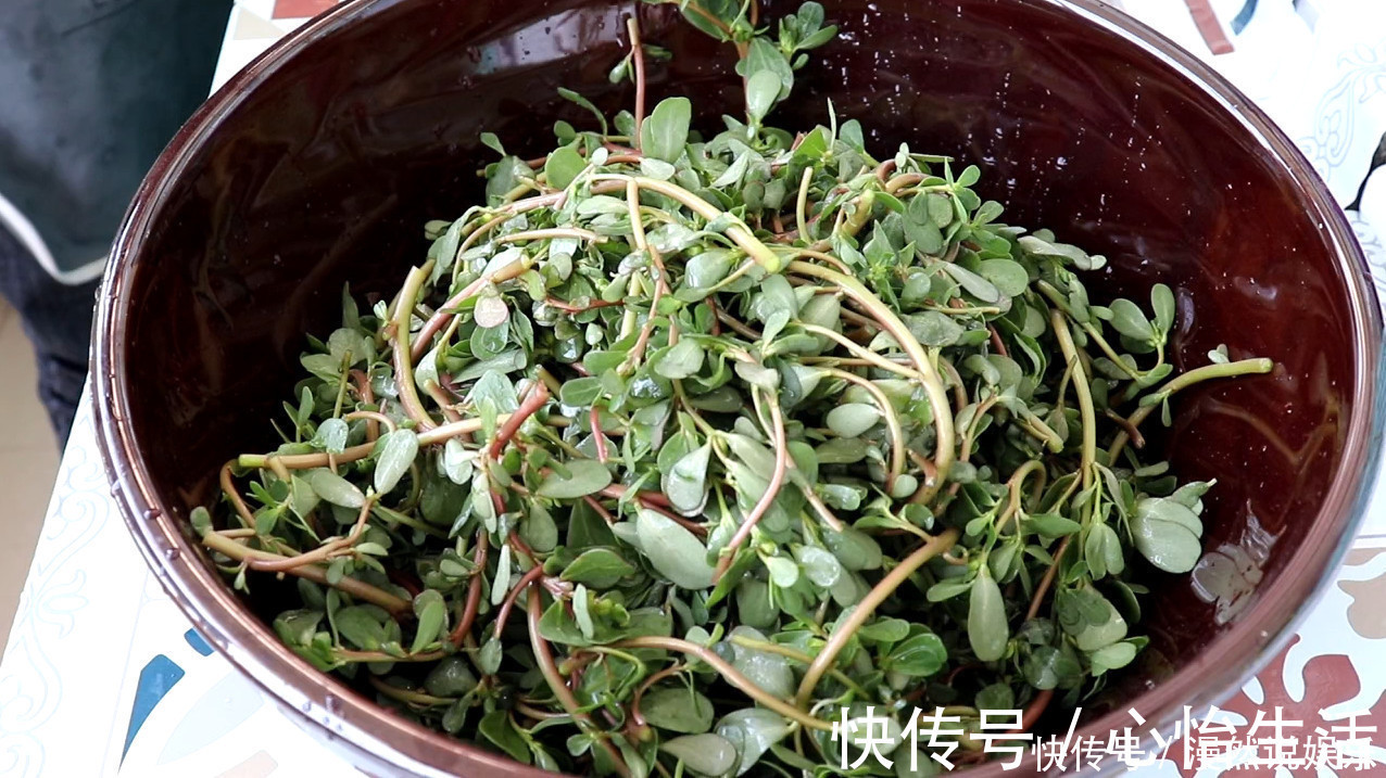 搅拌均匀|马齿苋最好吃的做法，家里每次做一大盆不够吃，吃着真香
