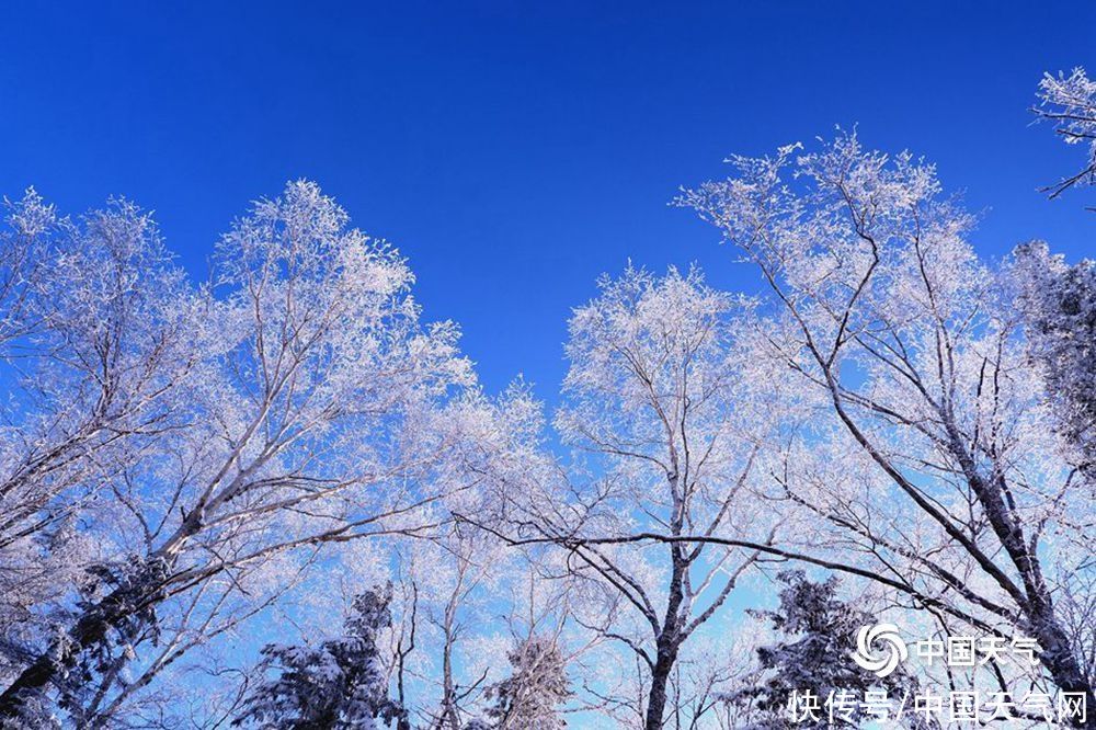 仙境|黑龙江第一峰现雾凇景观 堪比仙境