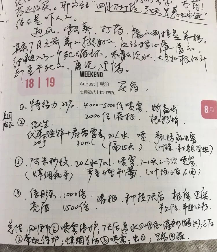 置身于美丽的多肉花园,我就是那快乐无比的多肉园丁!