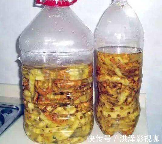 油桶|没盆种菜找几个空油壶，装点土，种的菜长得绿油油，收获不断！