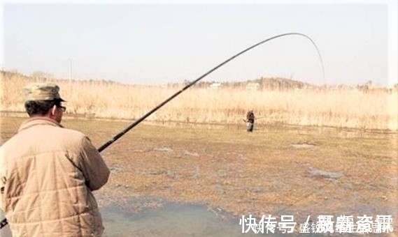 夏季野钓，突然无鱼口，不是钓技不好，原来是这几种因素