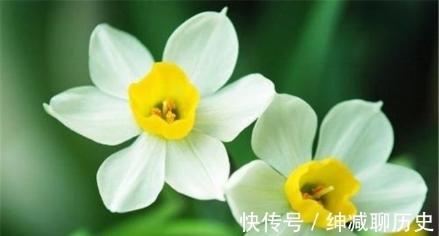 为人处世#内心强大的人,为人处世时,往往遵循这四条法则