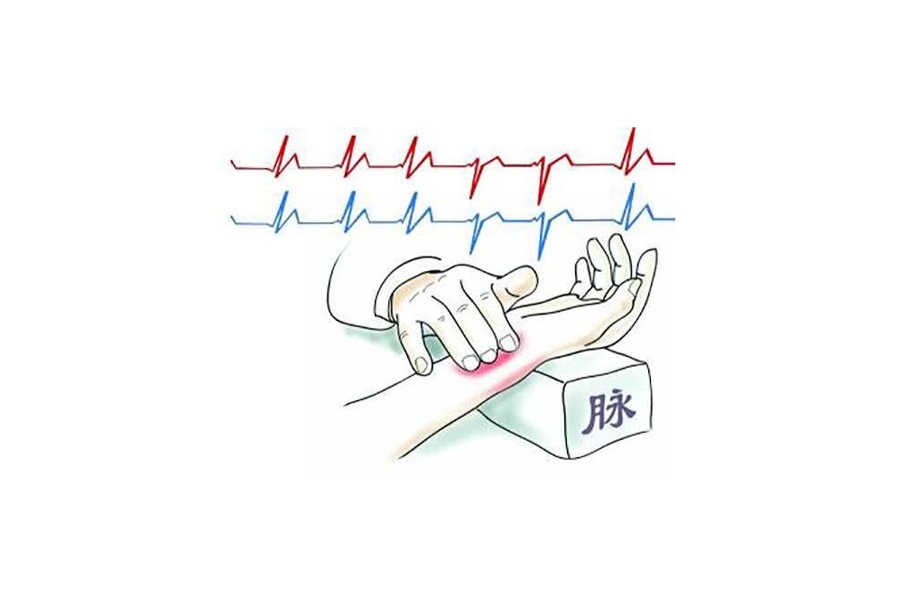 脉象的变化|把脉看怀孕是看“滑脉”,青壮年也可能有这种脉象,到底准不准?