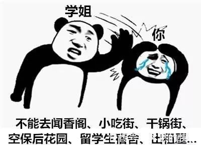 |搞笑一组“学姐”表情包,学姐你不管在什么场合,都要叫学姐好