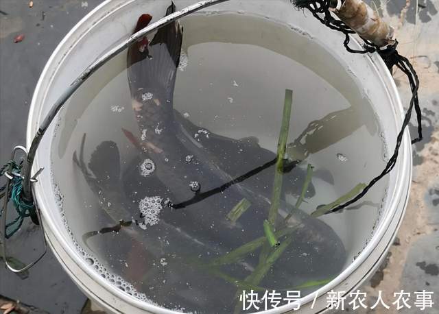 湖南湘江边的钓鱼大军,隆冬的严寒也不能阻挡,有人直接以此赚钱