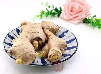 生姜的功效 想不到这种中药能抗菌