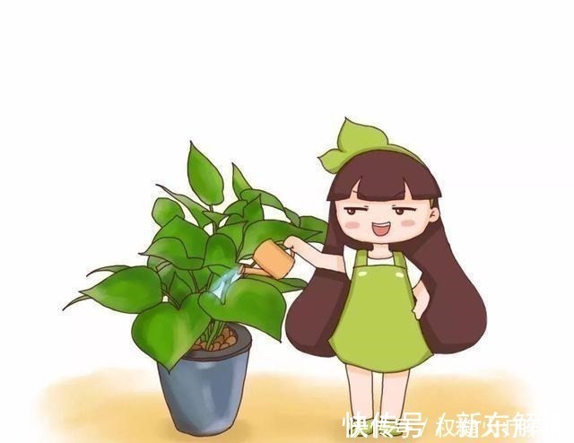 蚊香|浇水时加点小东西,植物用了呼呼长,连肥料都省了!